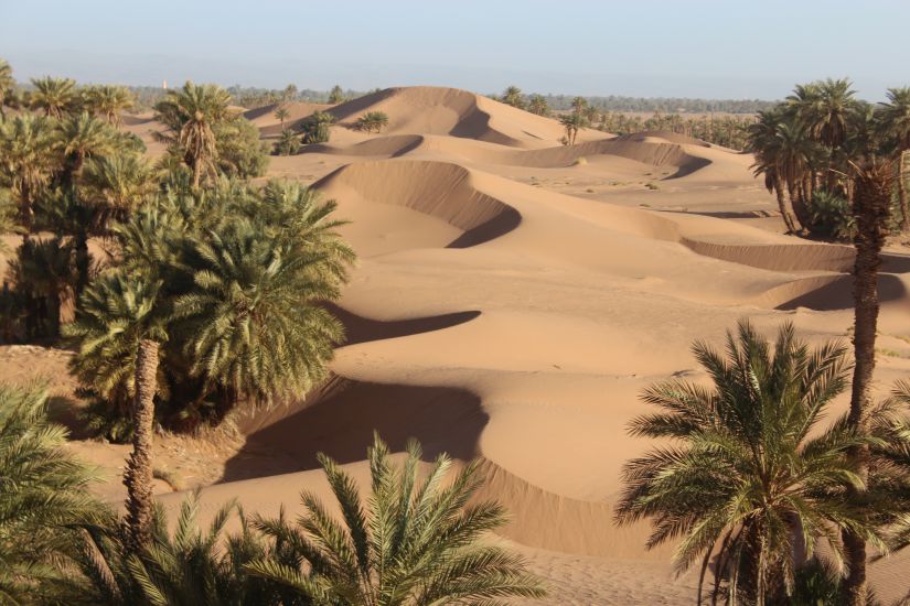 Dune et Oasis et  Kasbah du Vallée du Drâa