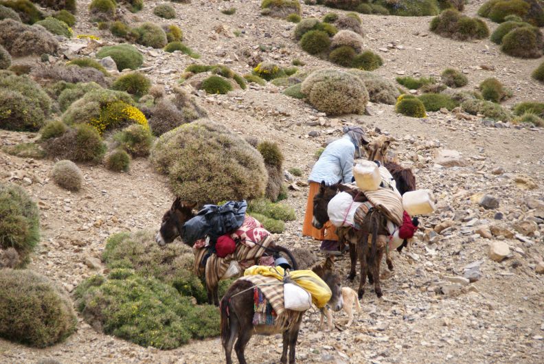 Rando Pastorale dans Moyen Atlas