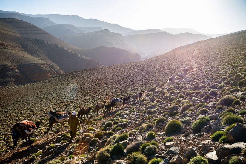 Randonnée Chamelière dans Atlas